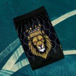 NBA 23 James Kings shorts noir imprimé